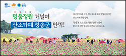 청송군